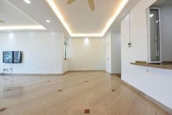 Spring Grove (D10), Condominium #523143741